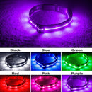 Blazin' Safety LED Dog Collar – USB Rechargeable with Water Resistant Flashing Light